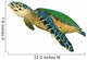 Hawksbill Sea Turtle White Wall Decal