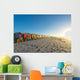 Sunrise Famous Colorful Beach Wall Decal