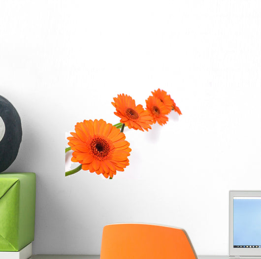 Gerbera Daisy Wall Decal