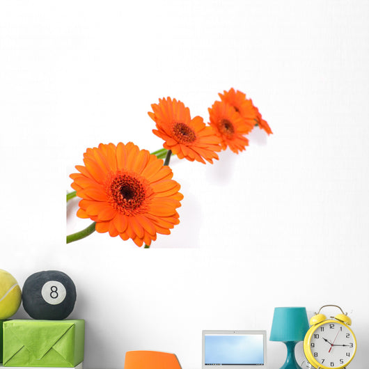 Gerbera Daisy Wall Decal