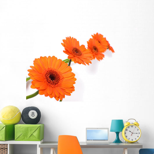 Gerbera Daisy Wall Decal