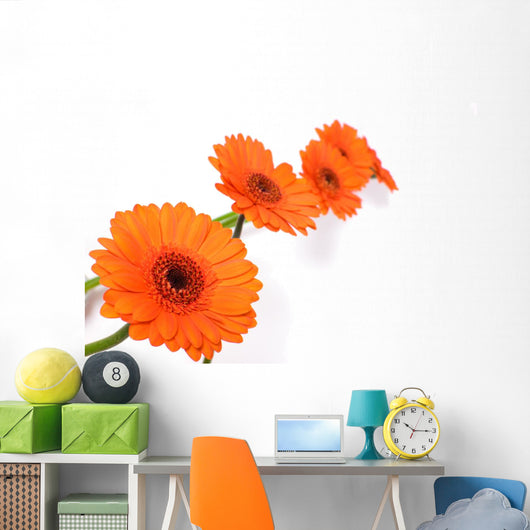 Gerbera Daisy Wall Decal