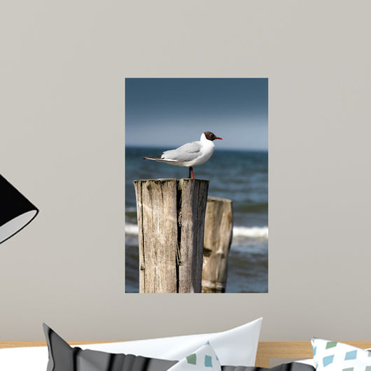 Seagull Wall Decal