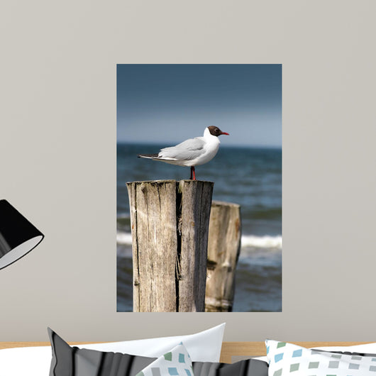 Seagull Wall Decal