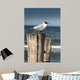 Seagull Wall Decal