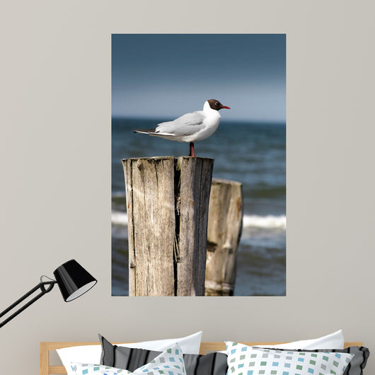 Seagull Wall Decal