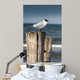 Seagull Wall Decal