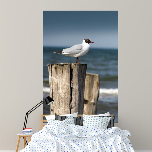 Seagull Wall Decal