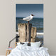 Seagull Wall Decal