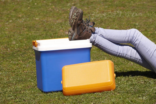 Picnic Cooler Grass and Wall Decal