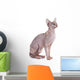 Sphynx Hairless Cat Wall Decal