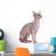Sphynx Hairless Cat Wall Decal