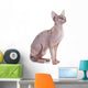 Sphynx Hairless Cat Wall Decal