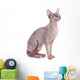 Sphynx Hairless Cat Wall Decal