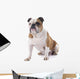 English Bulldog Wall Decal