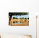 Gadi Sagar Jaisalmer India Wall Decal