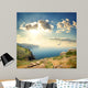 Seagulls over Rocks Sea Wall Decal