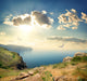 Seagulls over Rocks Sea Wall Decal