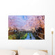 cherry blossoms, busan city in south korea Wall Mural