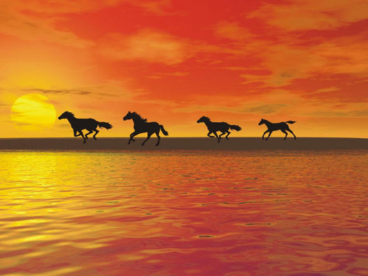 Horses Wall Decal