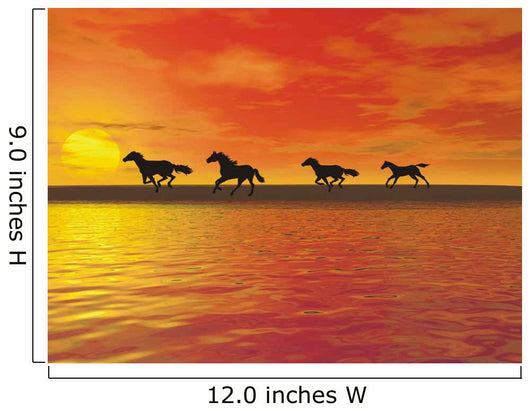 Horses Wall Decal