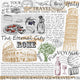 Rome Italy Wall Decal