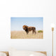 Lion Wall Decal