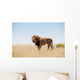 Lion Wall Decal