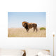 Lion Wall Decal