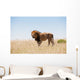 Lion Wall Decal