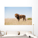 Lion Wall Decal