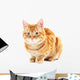 Portrait Red Cat White Wall Decal