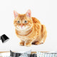 Portrait Red Cat White Wall Decal