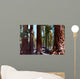 Redwoods California Wall Decal