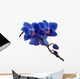 Dark Blue Orchids and Wall Decal