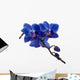 Dark Blue Orchids and Wall Decal