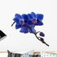 Dark Blue Orchids and Wall Decal
