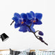 Dark Blue Orchids and Wall Decal