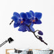 Dark Blue Orchids and Wall Decal