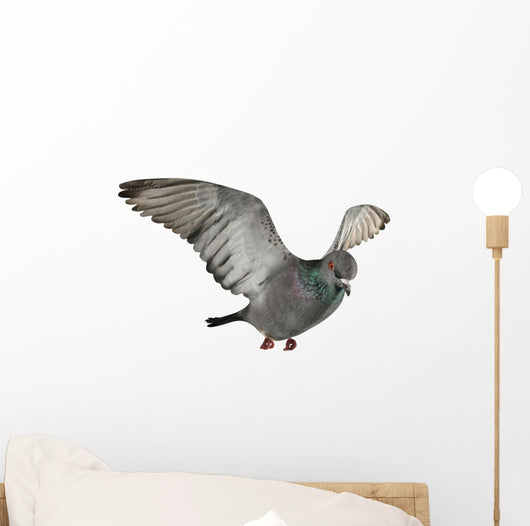 Flying Pigeon Wall Decal