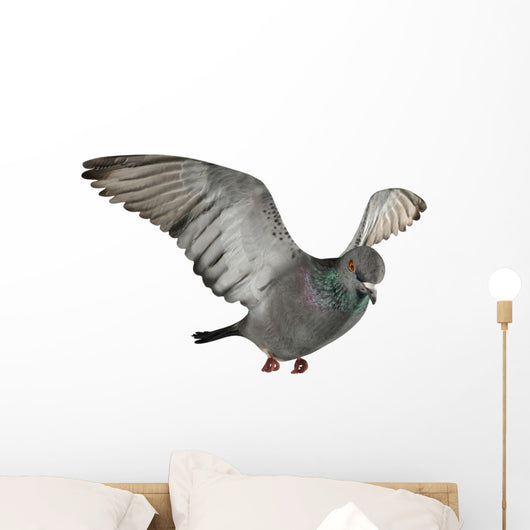 Flying Pigeon Wall Decal