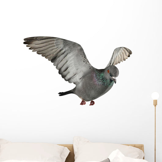 Flying Pigeon Wall Decal