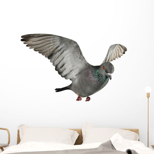 Flying Pigeon Wall Decal