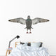 Dove Pigeon with Outstretched Wall Decal