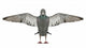 Dove Pigeon with Outstretched Wall Decal