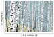 Birchwood Spring Wall Decal