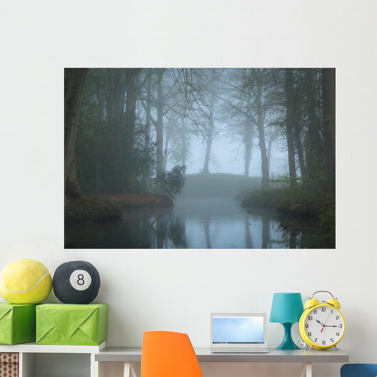 Pond Landscape Park Foggy Wall Decal