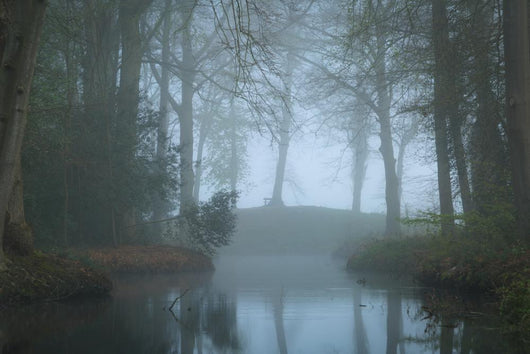 Pond Landscape Park Foggy Wall Decal