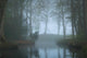 Pond Landscape Park Foggy Wall Decal