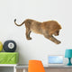 Male Lion Wall Decal